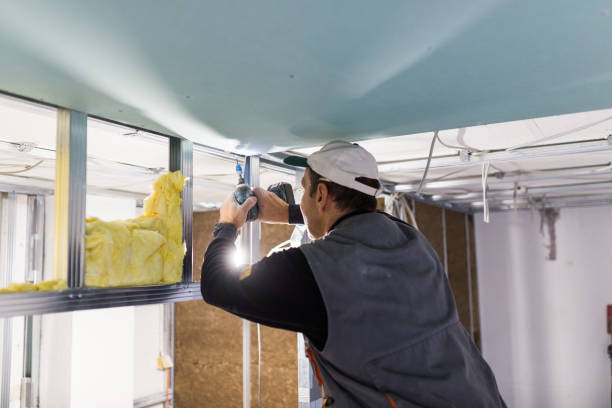 Best Insulation for Specific Applications in Ford City, CA